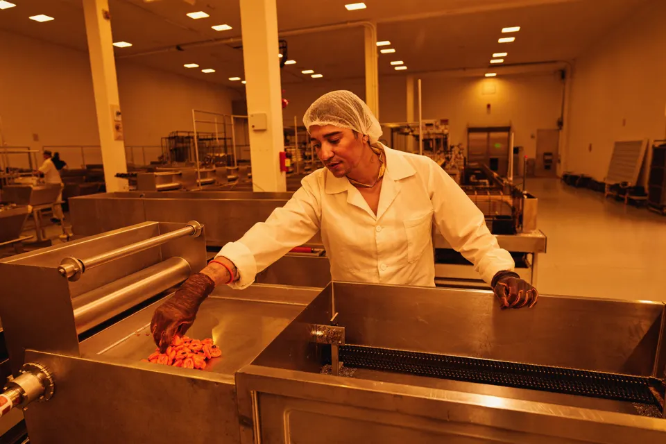 Food industry